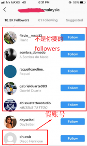 fake followers instagram